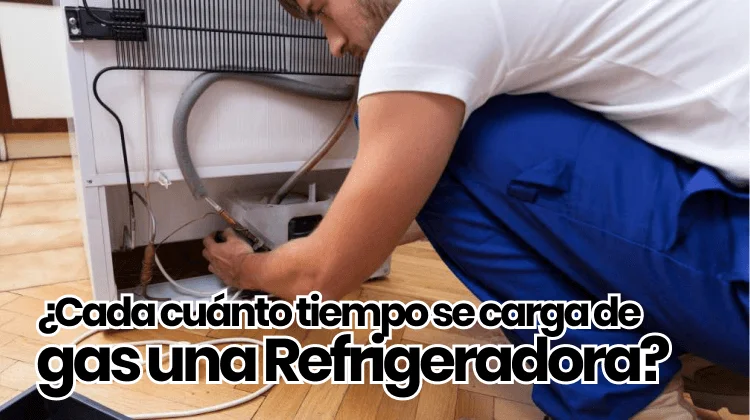 Adolescente recibo exprimir ▷ ¿Cada cuánto tiempo se carga de gas una refrigeradora? ☀️
