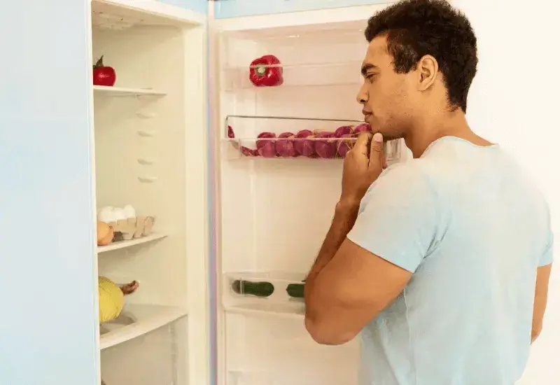 Popular repetir Disgusto ▷ ¿Por qué mi refrigeradora suena mucho? ☀️